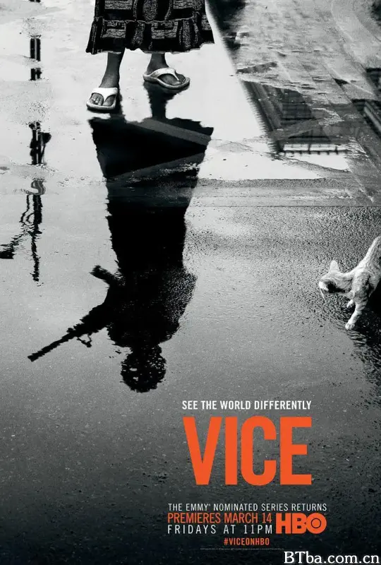 恶 第二季/Vice Season 2