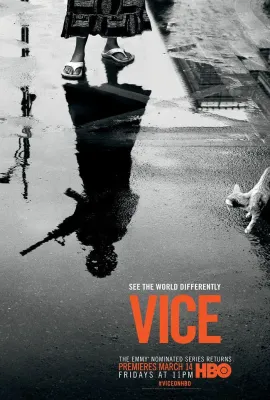 恶 第二季/Vice Season 2