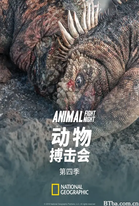 动物搏击会 第四季/Animal Fight Night Season 4