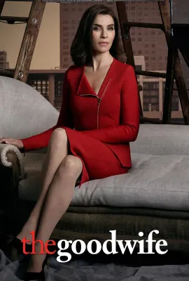 傲骨贤妻 第七季/The Good Wife Season 7