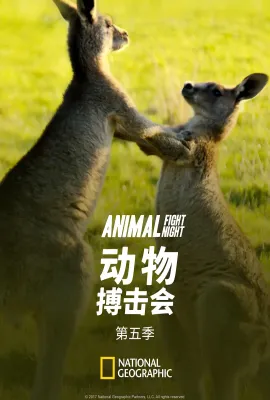 动物搏击会 第五季/Animal Fight Night Season 5