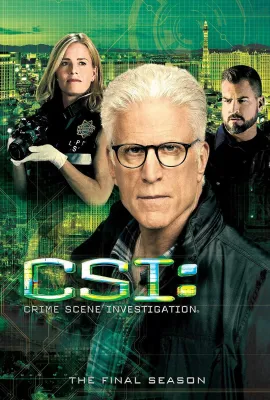 犯罪现场调查 第十五季/CSI: Crime Scene Investigation Season 15
