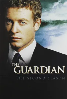 法外情真 第二季/The Guardian Season 2