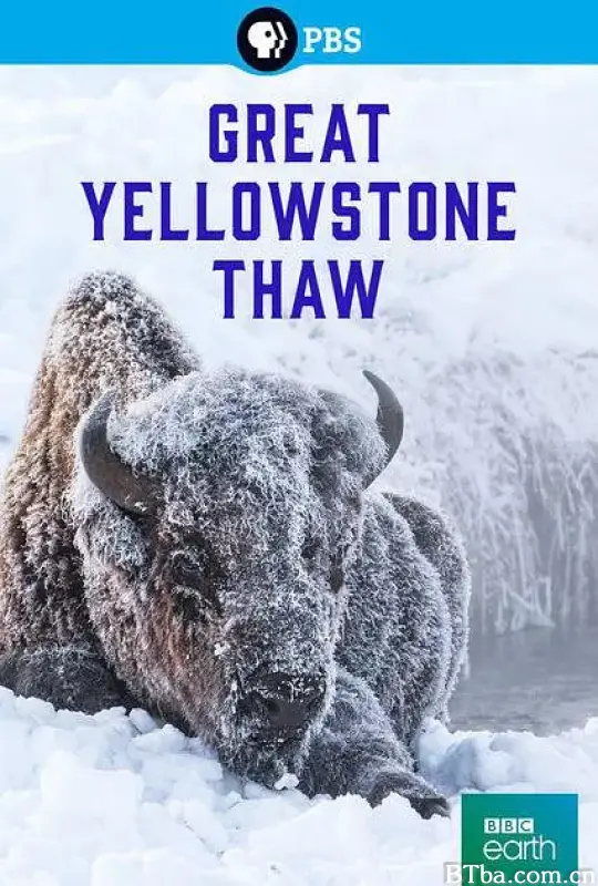 黄石大消融/Great Yellowstone Thaw