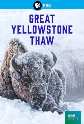 黄石大消融/Great Yellowstone Thaw