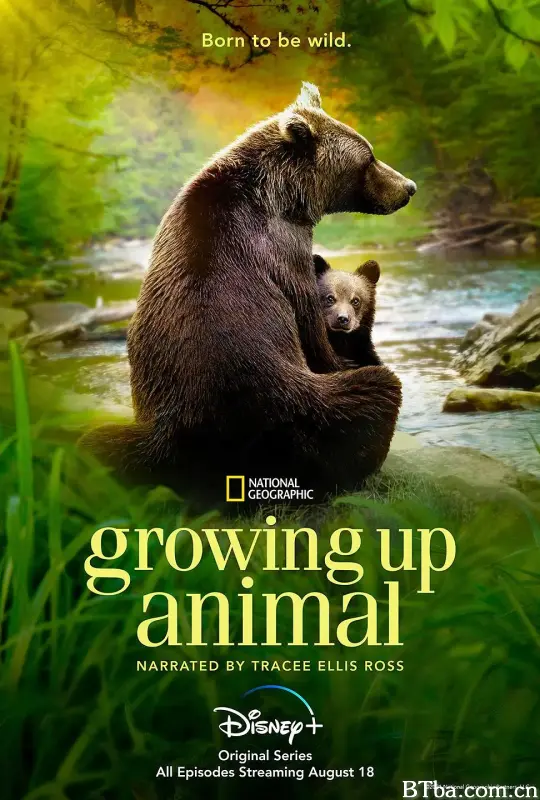 动物成长/Growing Up Animal