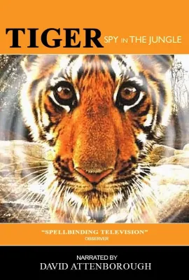 虎：丛林中窥探/Tiger - Spy in the Jungle