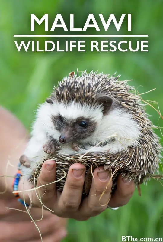 Malawi Wildlife Rescue Season 1