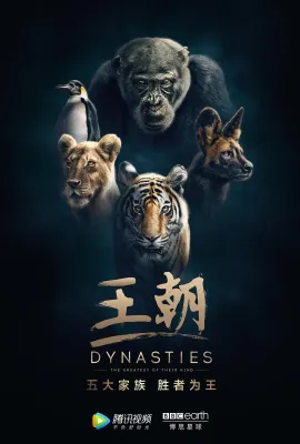 王朝 第一季/Dynasties Season 1