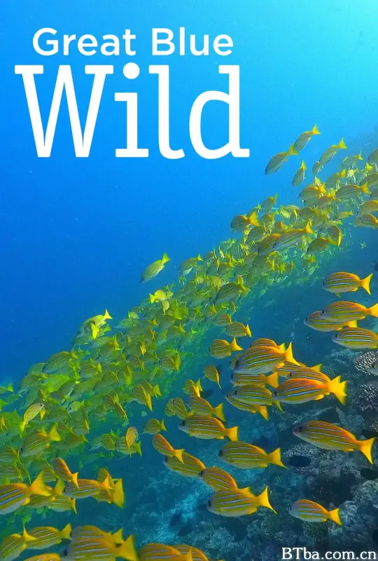 无垠的狂野蓝海 第一季/Great Blue Wild Season 1