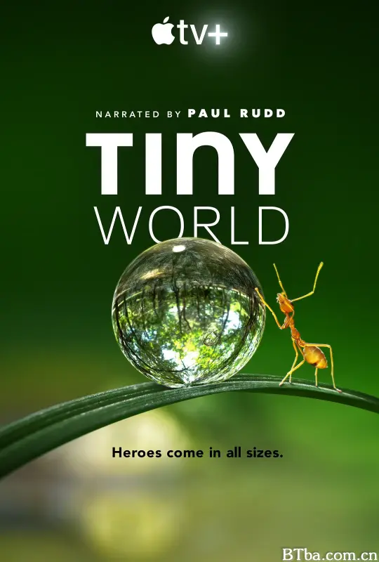 小小世界 第一季 Tiny World Season 1 (2020) 1080P/4K BT磁力 迅雷网盘下载