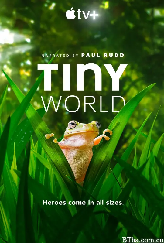 小小世界 第二季/Tiny World Season 2