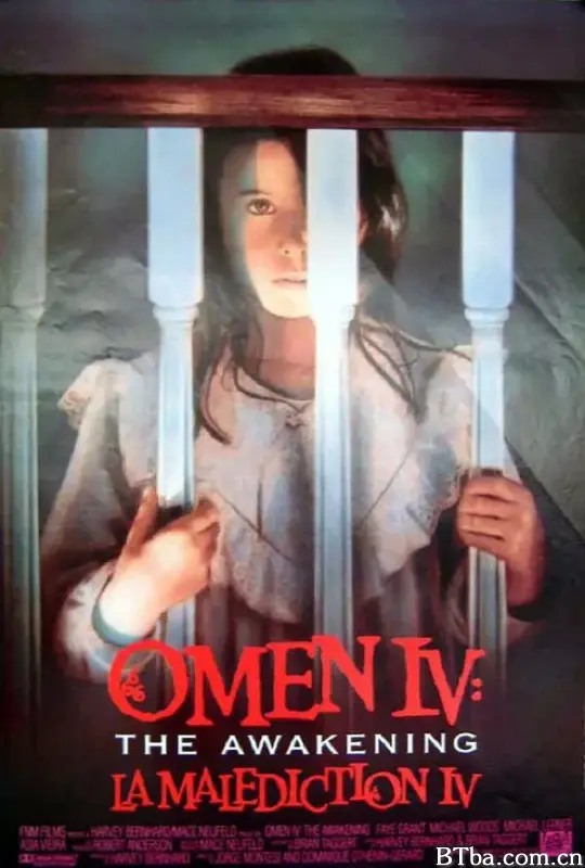 凶兆4/Omen IV: The Awakening