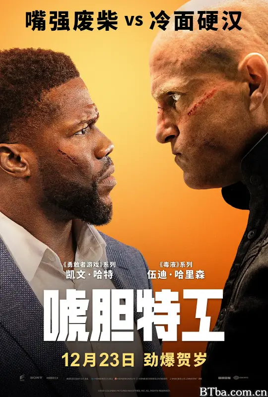 唬胆特工/The Man from Toronto