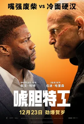 唬胆特工/The Man from Toronto