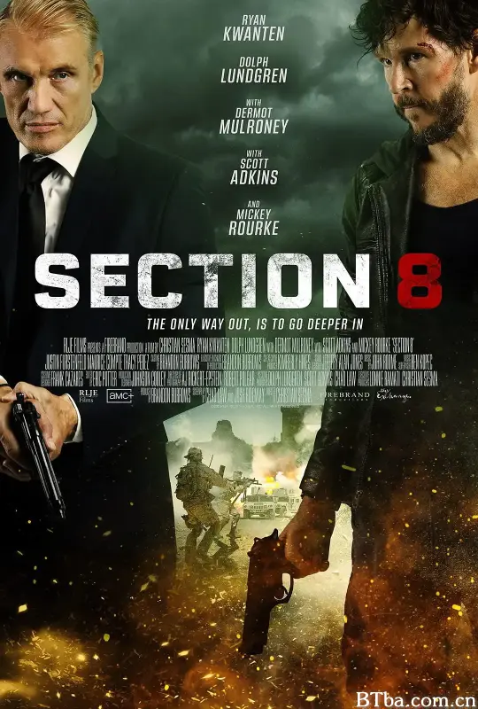暗影特工/Section Eight