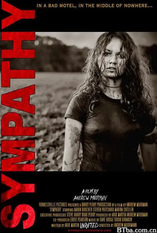 恶夜旅舍 Sympathy (2007) 1080P/WEB-DL BT磁力 迅雷网盘下载