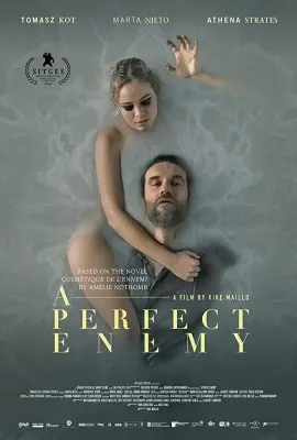 完美敌人/A Perfect Enemy