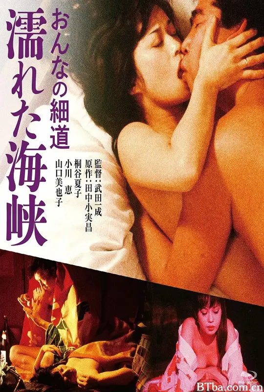 女人的小道：濡湿海峡 おんなの細道 濡れた海峡 (1980) 1080P/720P BT磁力 迅雷网盘下载