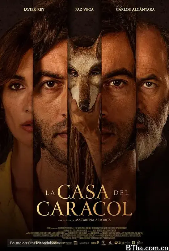 蜗牛之家/La casa del caracol