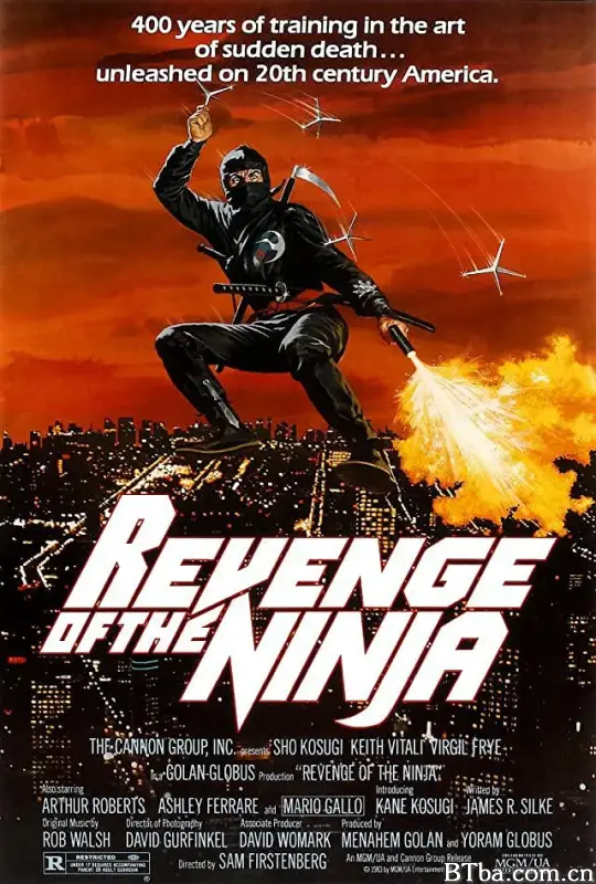 忍者大复仇/Revenge of the Ninja