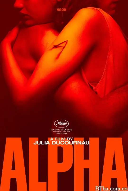 阿尔法/Alpha