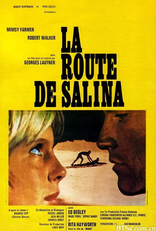 萨利纳之路/La route de Salina