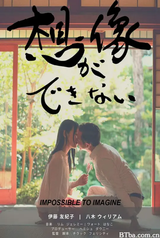 无法想象/想像ができない