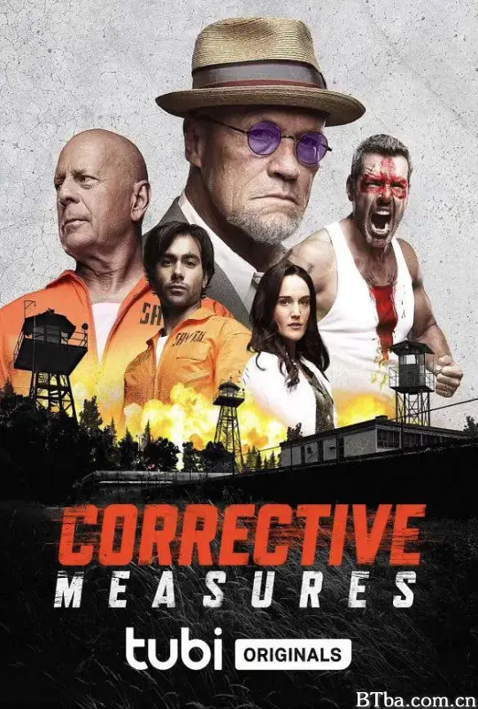 纠正措施/Corrective Measures