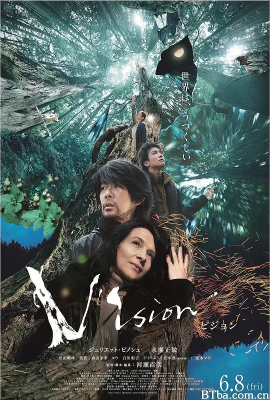 视觉/Vision