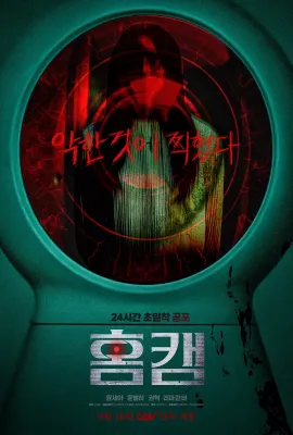 家用摄像头/홈캠
