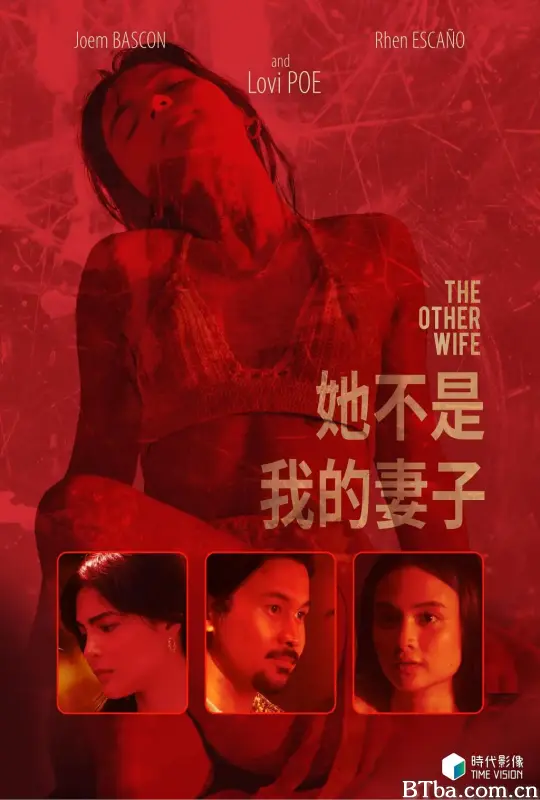 她不是我的妻子/The Other Wife