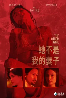 她不是我的妻子/The Other Wife