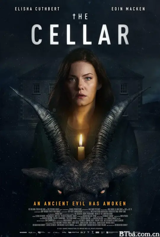 恐怖地窖/The Cellar
