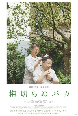 不砍梅树的傻瓜/梅切らぬバカ