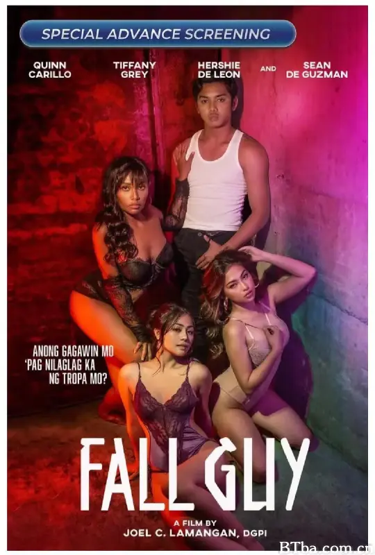 冤狱风云/Fall Guy