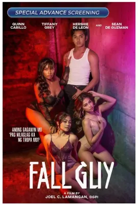 冤狱风云/Fall Guy