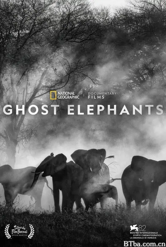 追寻幽灵大象/Ghost Elephants
