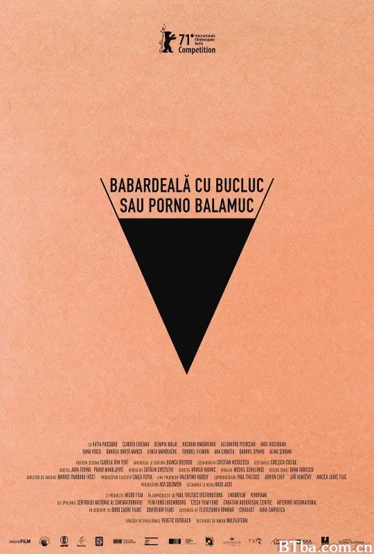 倒霉性爱，发狂黄片/Babardeală cu bucluc sau porno balamuc