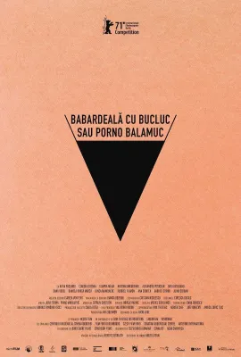 倒霉性爱，发狂黄片/Babardeală cu bucluc sau porno balamuc