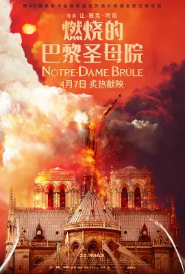 燃烧的巴黎圣母院/Notre-Dame brûle