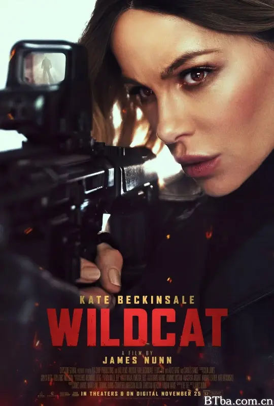 限时营救/Wildcat