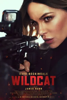 限时营救/Wildcat