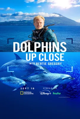 摄影师贝尔蒂与海豚零距离/Dolphins Up Close with Bertie Gregory