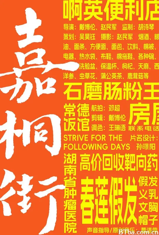 嘉桐街/肿瘤街