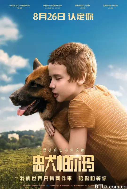 忠犬帕尔玛/Пальма
