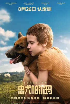 忠犬帕尔玛/Пальма
