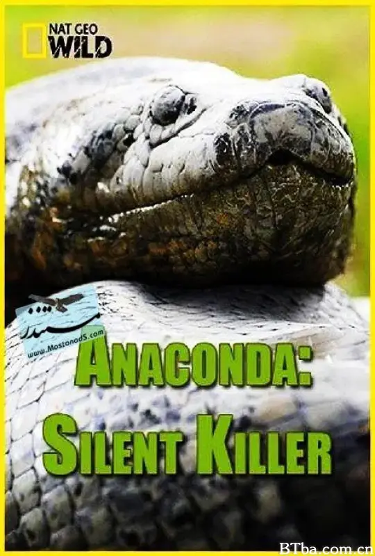 蟒蛇：沉默杀手/Anaconda: Silent Killer