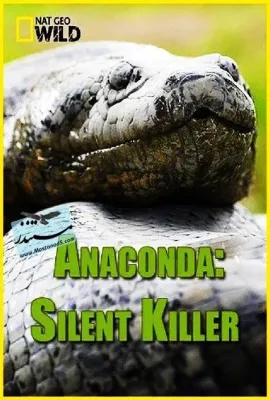蟒蛇：沉默杀手/Anaconda: Silent Killer
