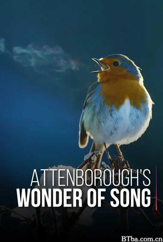 大卫·爱登堡：歌声奇迹/Attenborough's Wonder of Song